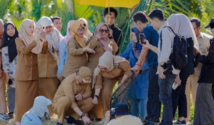 Bupati Barru Panen Raya Vaname, Sekali Siklus Cuan Rp150 Juta 